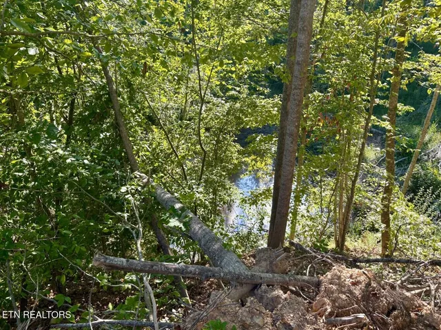 $182,000 | 0 Sandlick Rd Street, Keokee, VA 24265