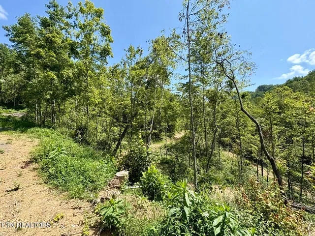 $182,000 | 0 Sandlick Rd Street, Keokee, VA 24265