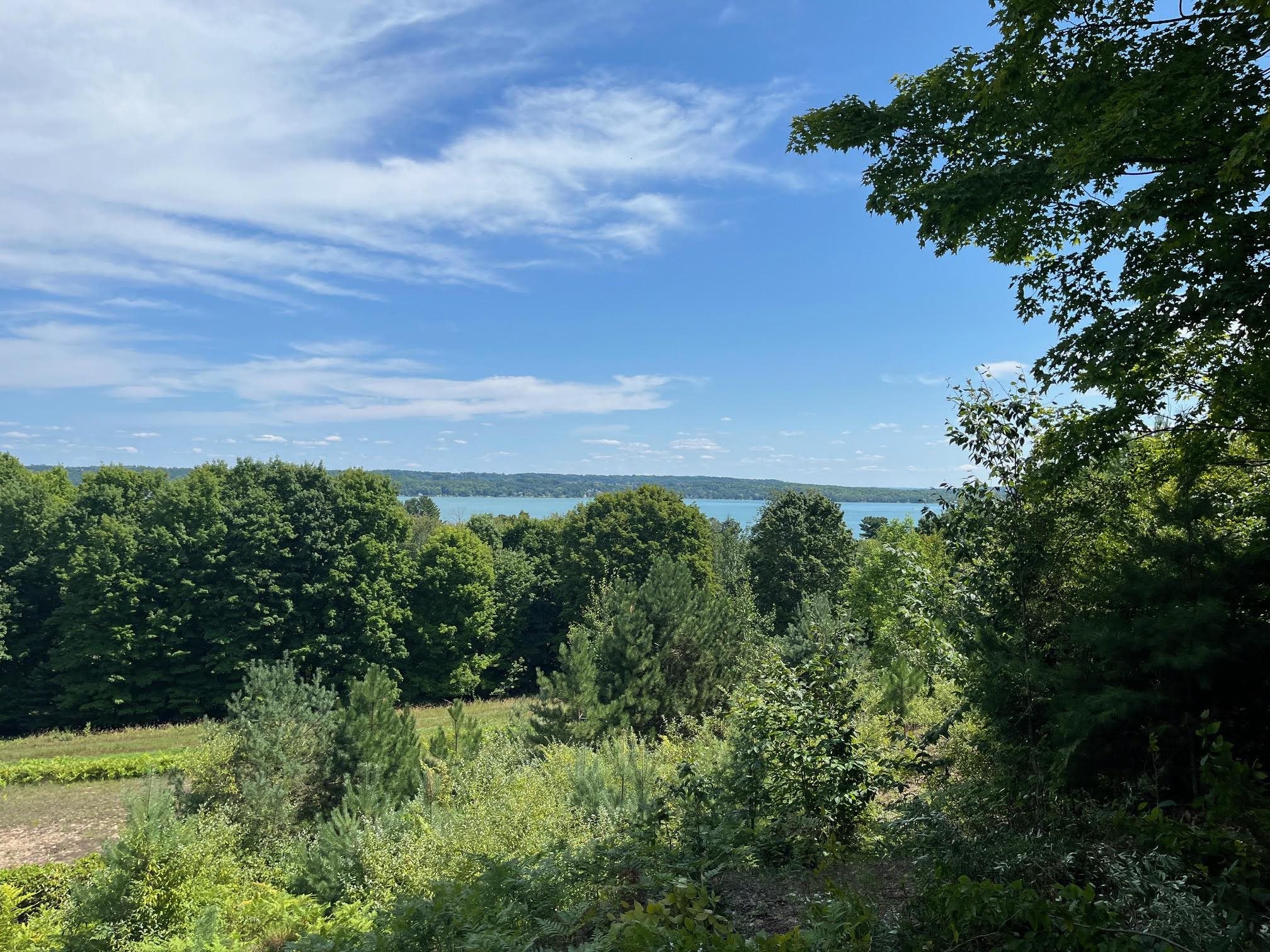 0 East Hidden Beach Road Cedar, MI 49621 - Photo 1 of 10