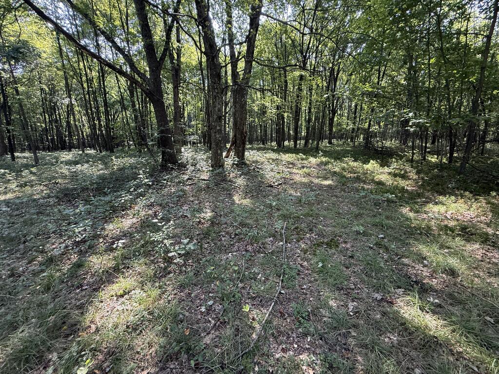 828 Dennison Run Road Polk, PA 16342 - Photo 20 of 25 Gallery Image 20