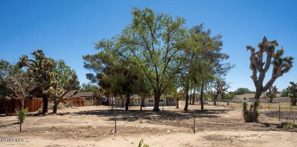 39457 Frontier Circus Street Palmdale, CA 93591 - Photo 6 of 37 BACKYARDFC