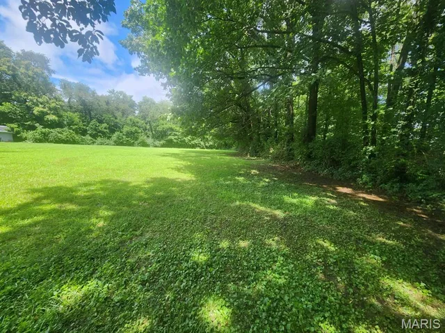 $32,000 | Tbd Paula Lane, Vandalia, IL 62471