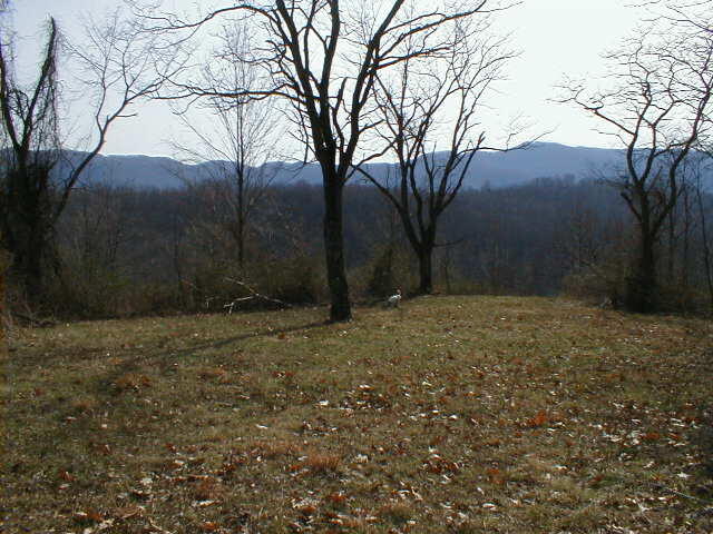 248 Somerset Farm Road Meadow Bridge, WV 25976 - Photo 83 of 98 Gallery Image 83