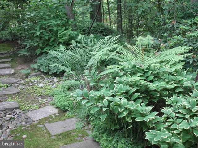 2512 Trophy Lane Reston, VA 20191 - Photo 2 of 16 Garden