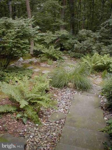 2512 Trophy Lane Reston, VA 20191 - Photo 8 of 16 Garden