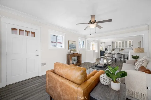 a living room with furniture potted plant and a window