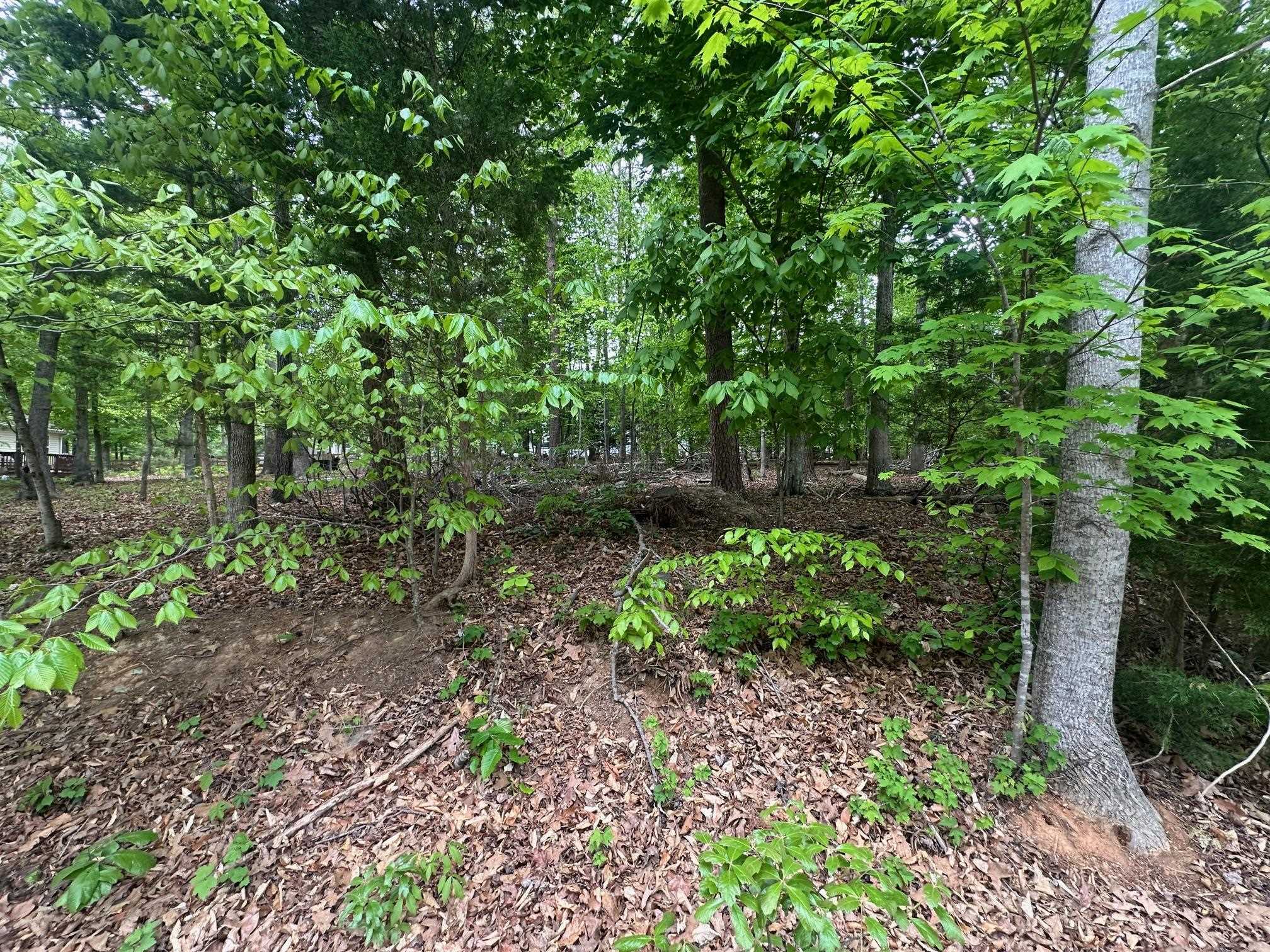 4 East Point Road Palmyra, VA 22963 - Photo 11 of 11 a backyard of a house with lots of green space