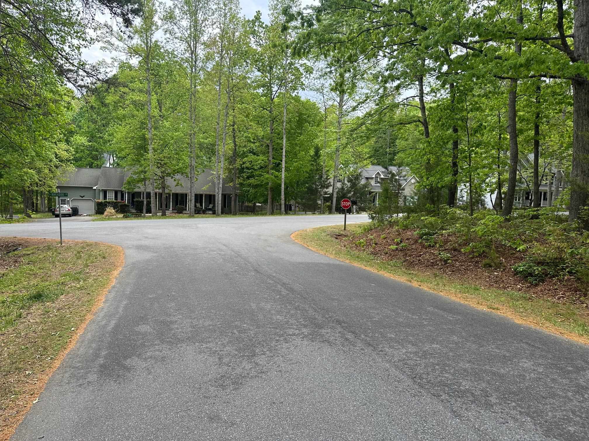 4 East Point Road Palmyra, VA 22963 - Photo 5 of 11 a view of a park with large trees