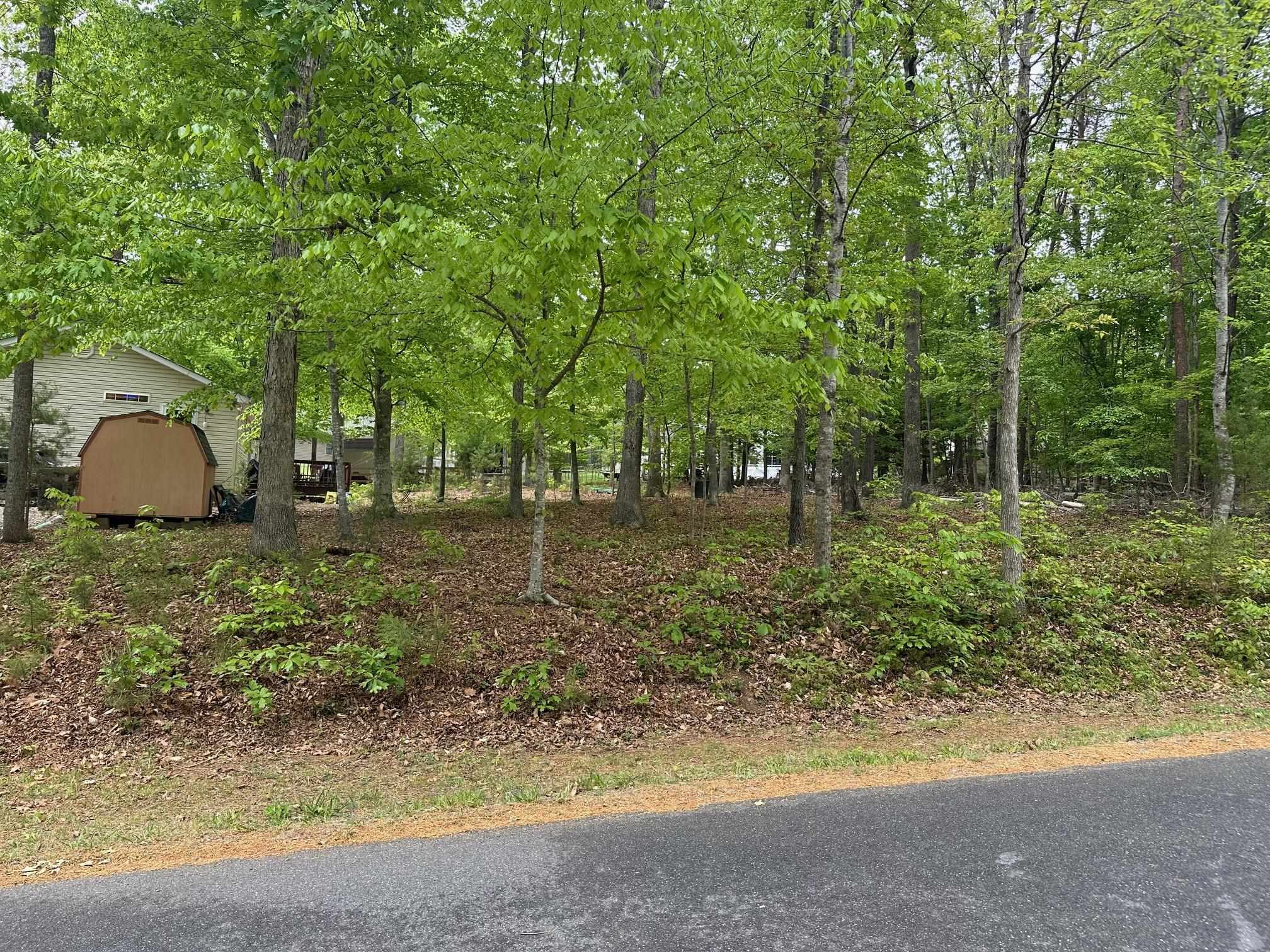 4 East Point Road Palmyra, VA 22963 - Photo 6 of 11 a backyard of a house with lots of green space