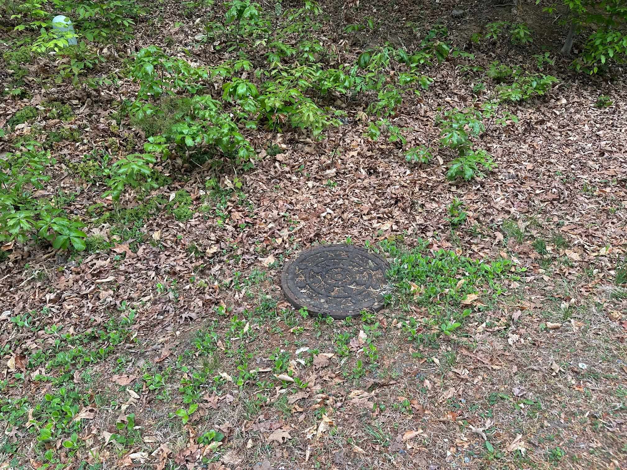 4 East Point Road Palmyra, VA 22963 - Photo 7 of 11 a view of an outdoor space and a yard