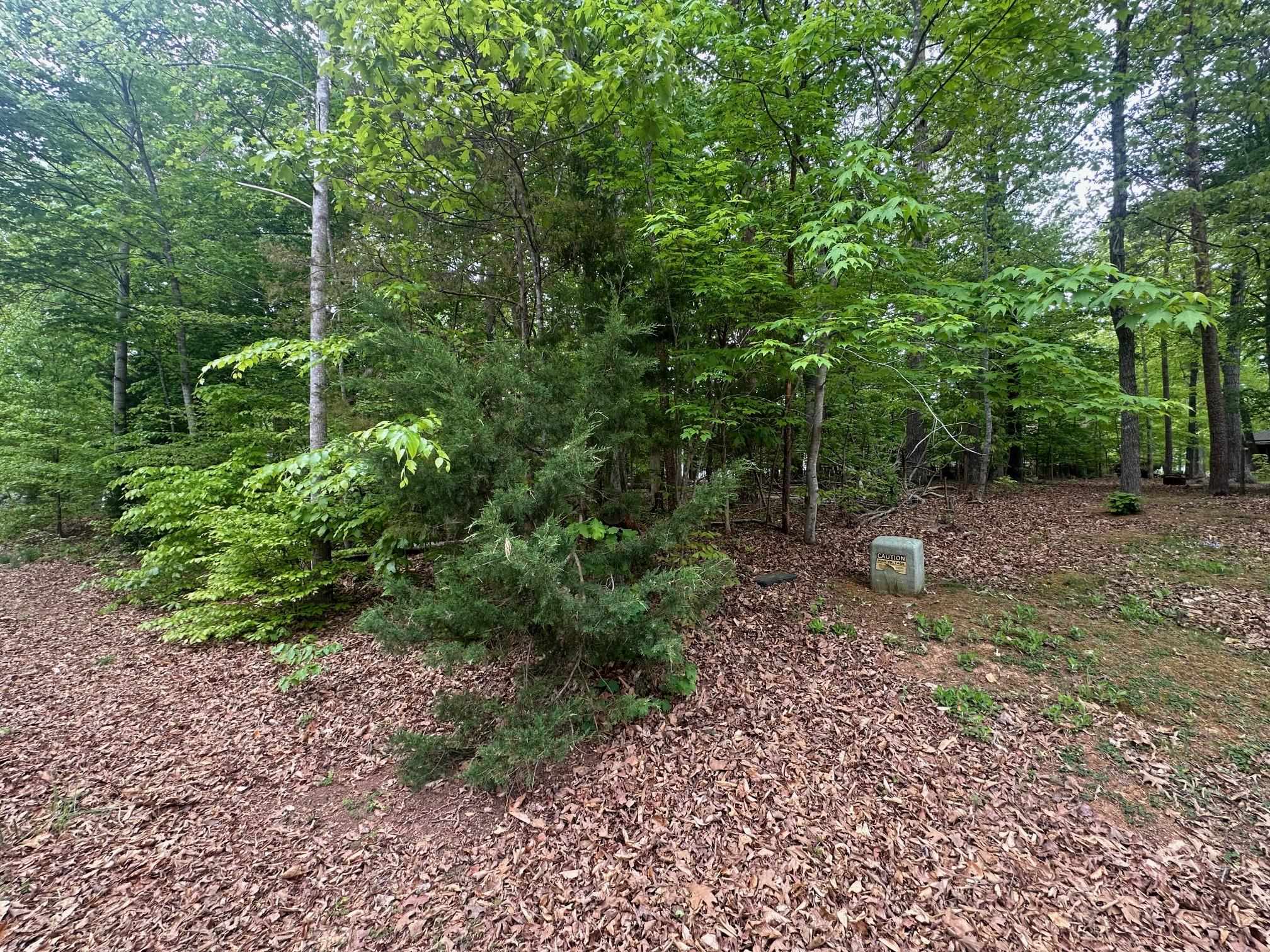 4 East Point Road Palmyra, VA 22963 - Photo 9 of 11 a view of a forest with trees