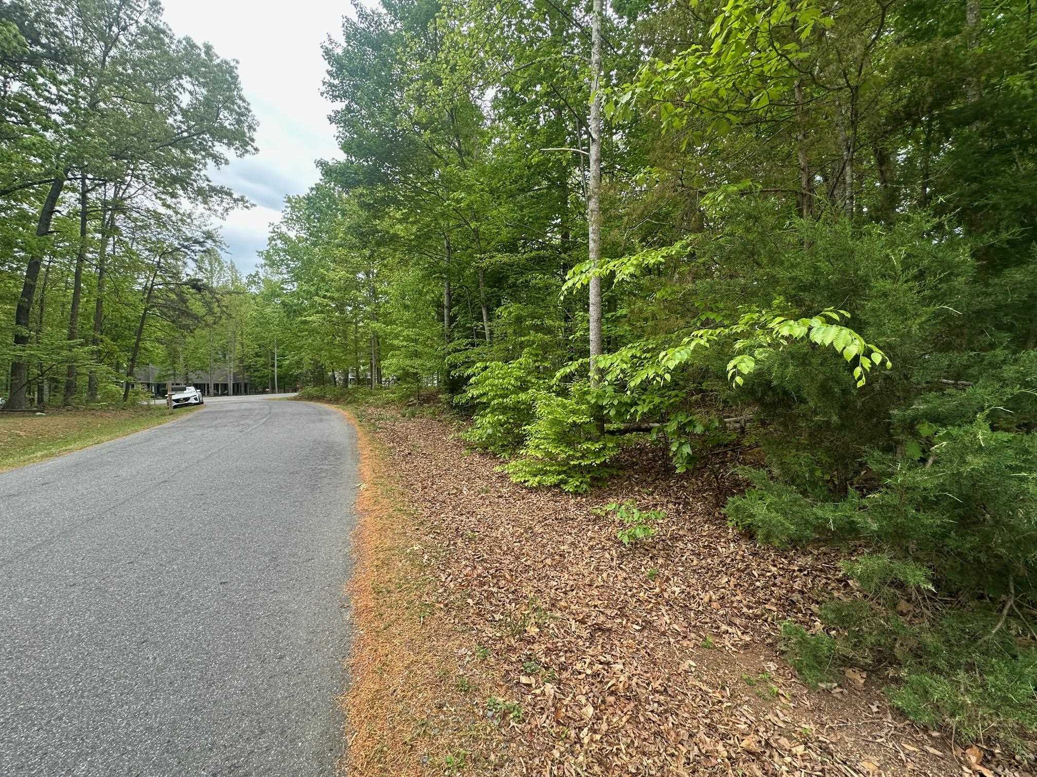 4 East Point Road Palmyra, VA 22963 - Photo 10 of 11 a view of a road with a yard