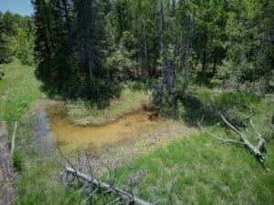 11253 Clinton Creek Road Presque Isle, MI 49777 - Photo 1 of 14 A-28_11253-Clinton-Creek-Rd-300x225