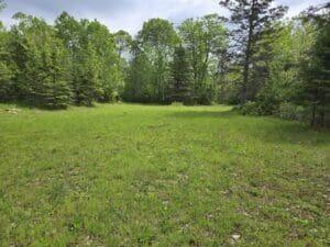 11253 Clinton Creek Road Presque Isle, MI 49777 - Photo 11 of 14 CC 7