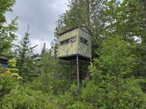 11253 Clinton Creek Road Presque Isle, MI 49777 - Photo 12 of 14 CC 5