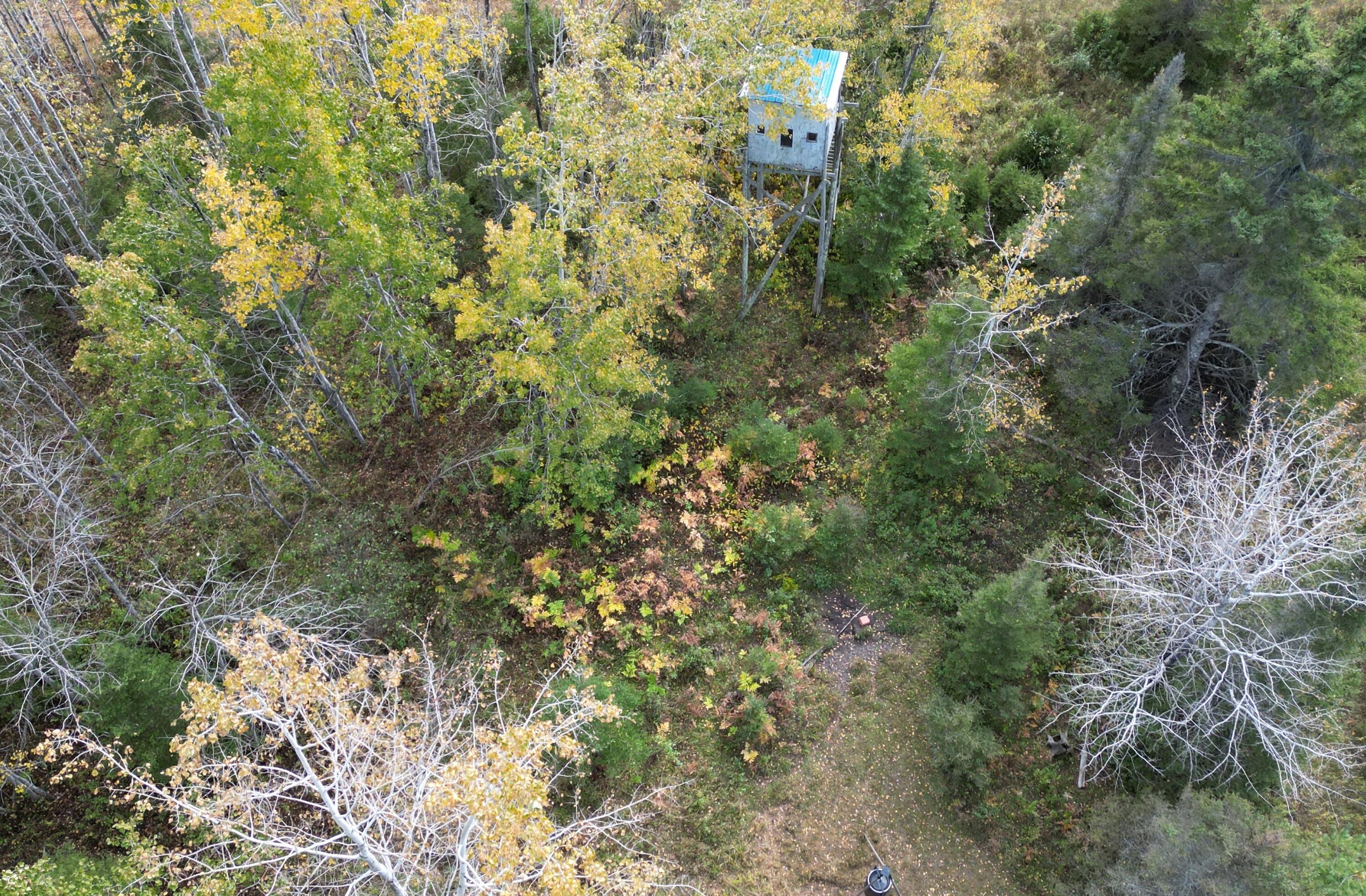 11253 Clinton Creek Road Presque Isle, MI 49777 - Photo 3 of 14 DJI_0028 (edited)