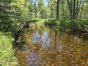 11253 Clinton Creek Road Presque Isle, MI 49777 - Photo 5 of 14 CC 1