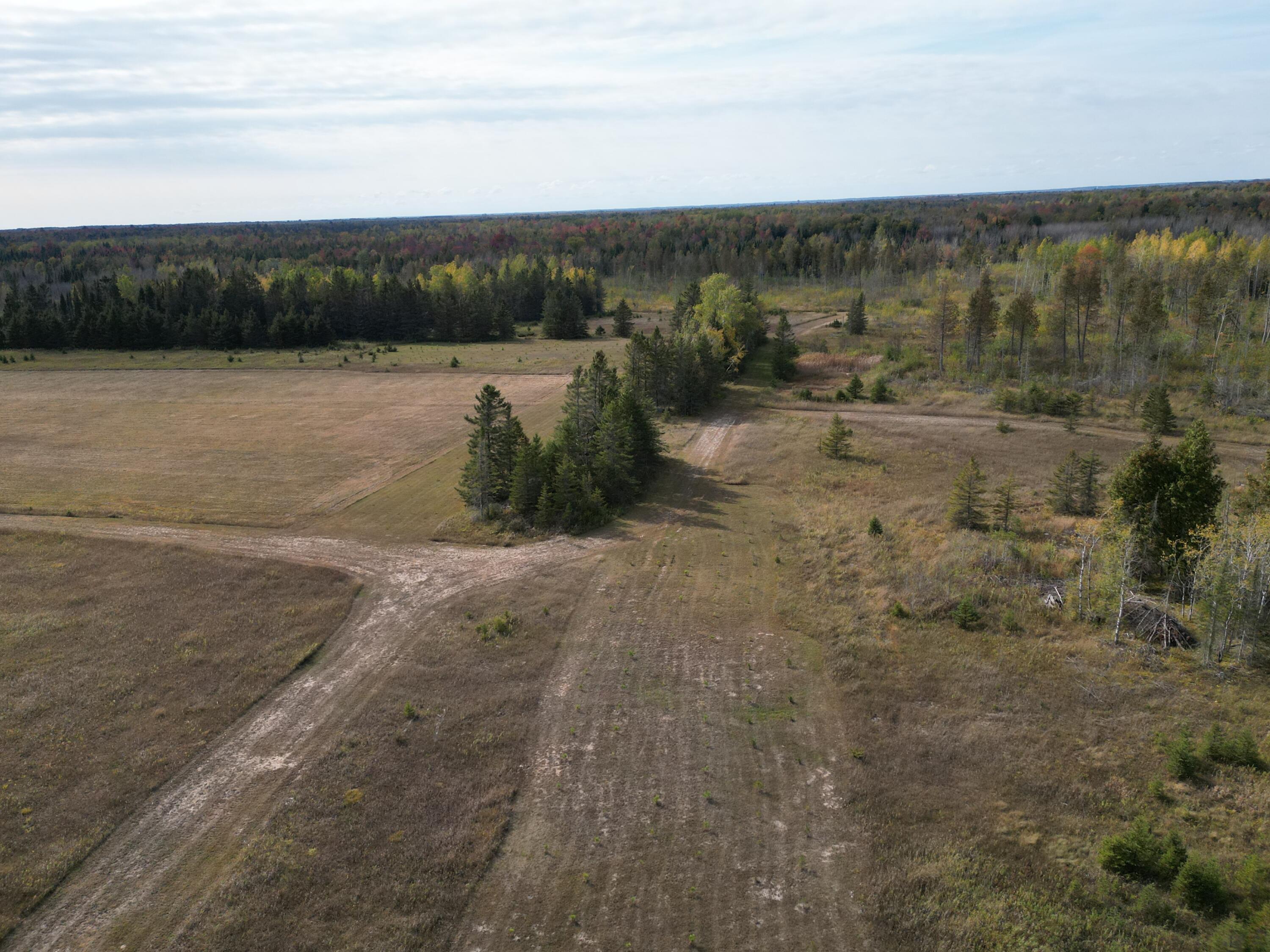 11253 Clinton Creek Road Presque Isle, MI 49777 - Photo 7 of 14 DJI_0034
