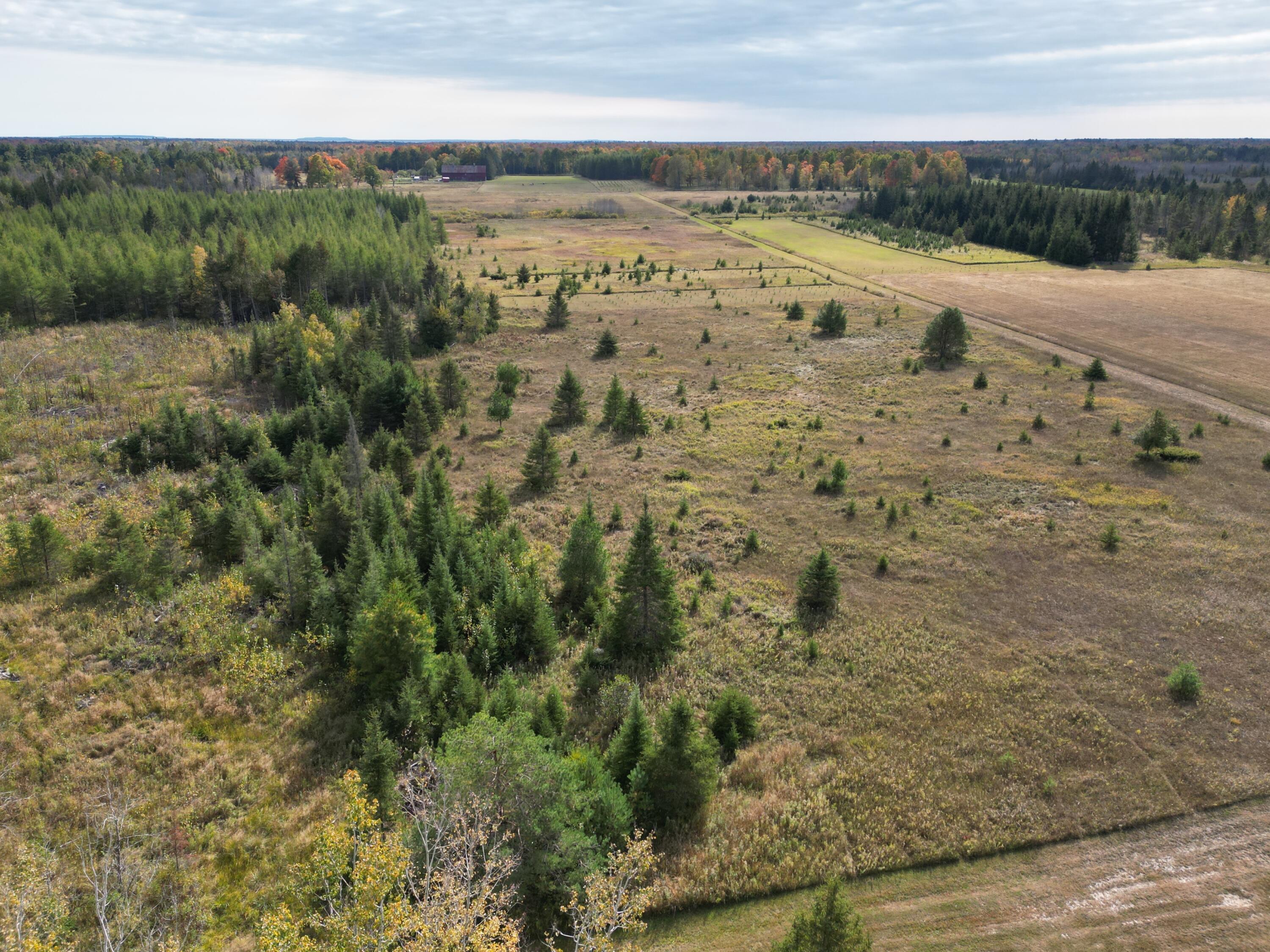 11253 Clinton Creek Road Presque Isle, MI 49777 - Photo 8 of 14 DJI_0032