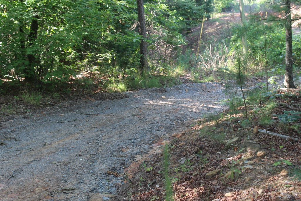 16166 Highway 64 Murphy, NC 28906 - Photo 8 of 38 Gallery Image 8