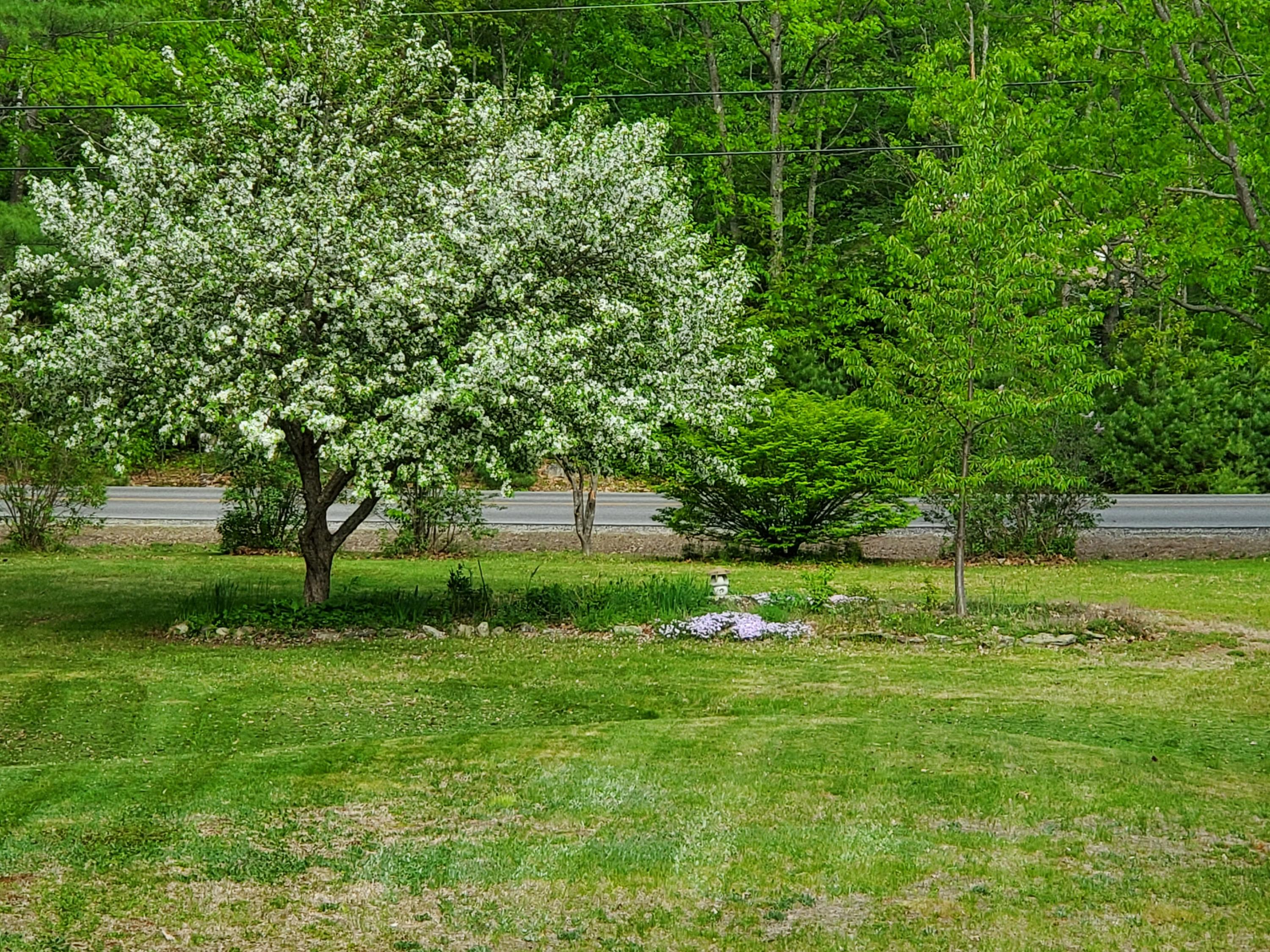 178 Davis Road Durham, ME 04222 - Photo 54 of 59 front yard landscape