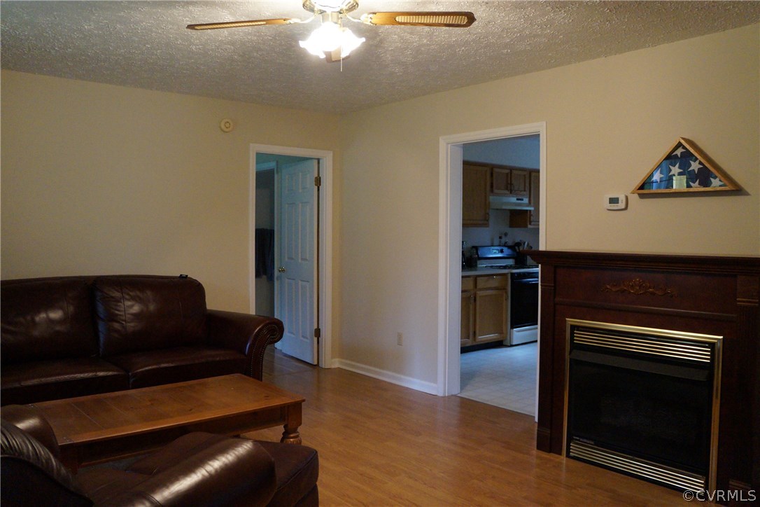 3135 Meherrin Road Meherrin, VA 23954 - Photo 14 of 20 a living room with furniture and a fireplace