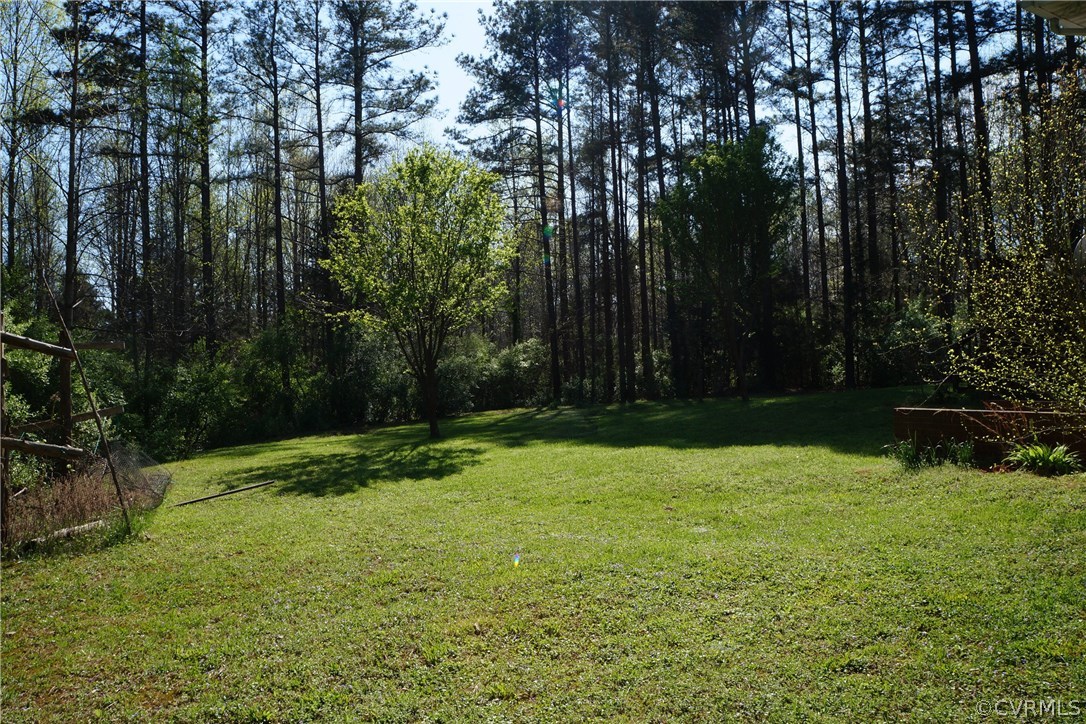 3135 Meherrin Road Meherrin, VA 23954 - Photo 19 of 20 a backyard of a house with lots of green space
