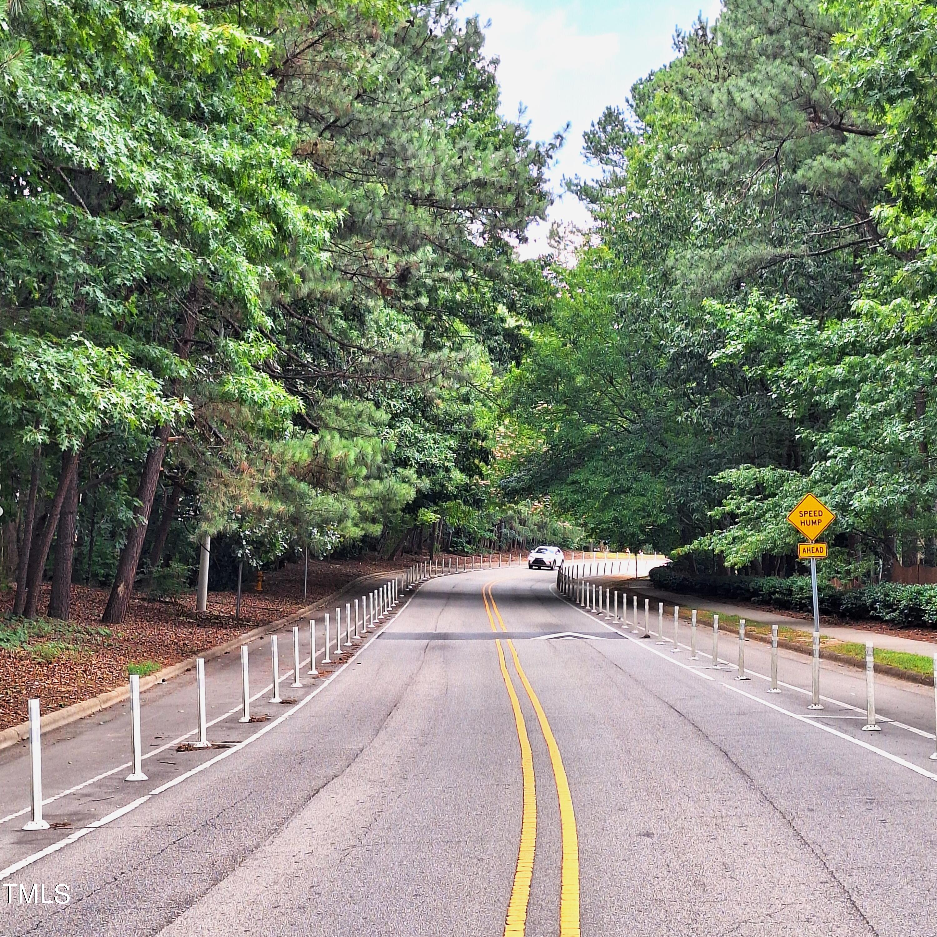 1809 Deep Forest Trail Raleigh, NC 27603 - Photo 29 of 31 Neighborhood Traffic Delineators - Safe for walkers/bikers/strollers etc.