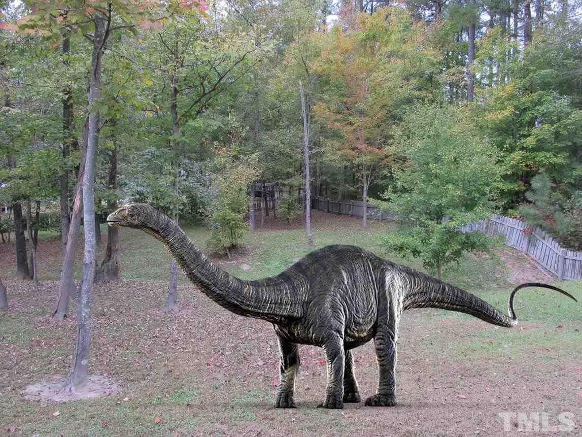 2562 Burton Road Durham, NC 27704 - Photo 19 of 25 Dinosaurs added for effect and not included with sale of property.