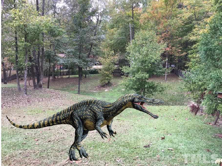 2562 Burton Road Durham, NC 27704 - Photo 20 of 25 Dinosaurs added for effect and are not included with the sale of property.