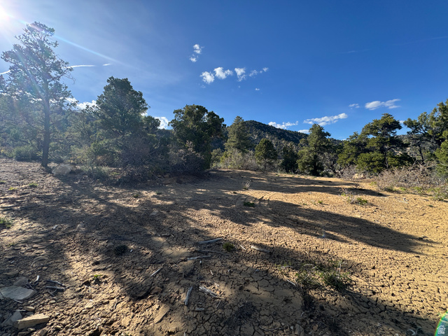 38 Broken Branch Road, Unit 38 Kanab, UT 84741 - Photo 22 of 53 Expansive natural landscape with mature evergreen trees, rugged terrain, distant mountains, and a bright, open sky