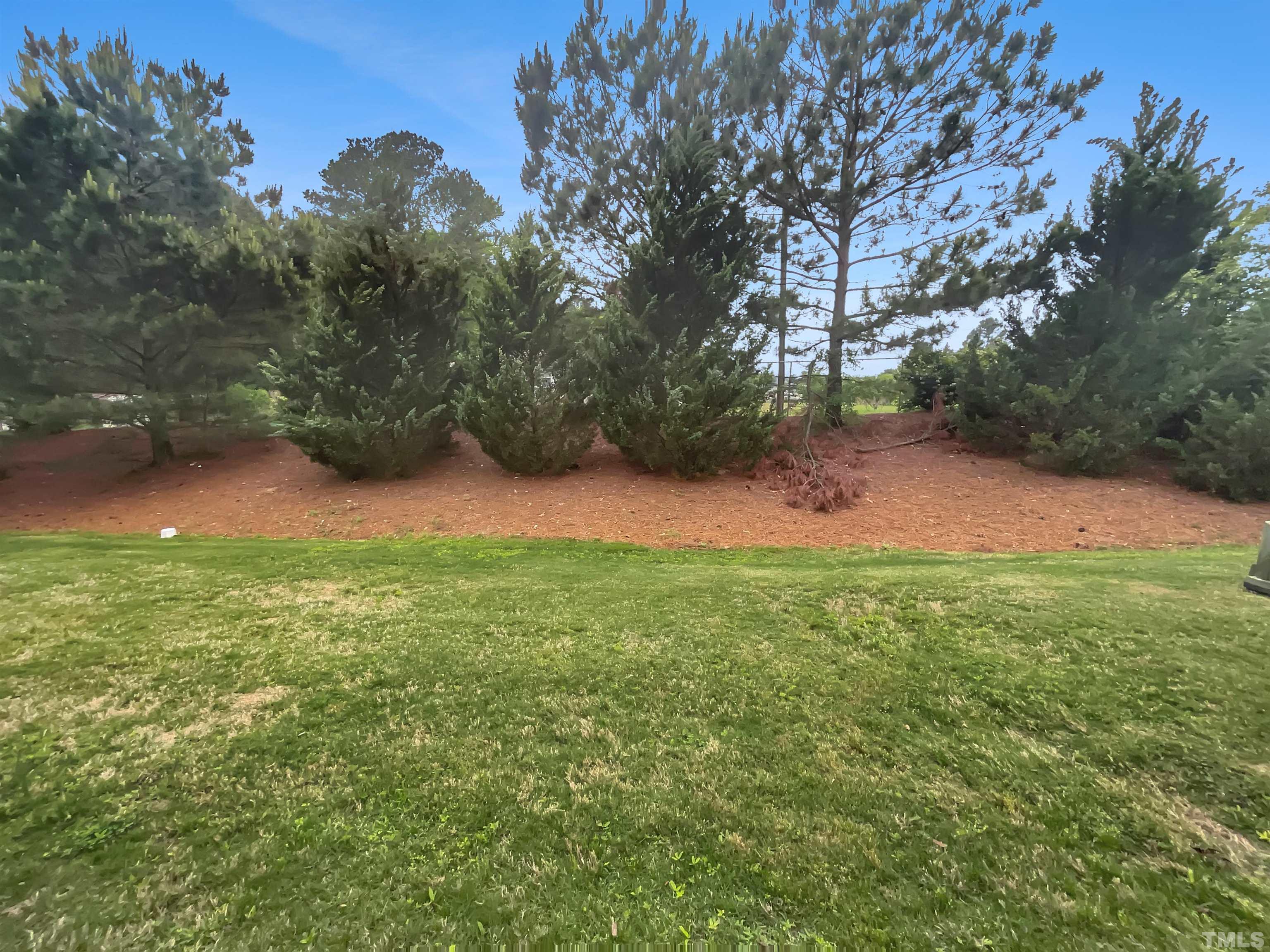 3953 Amelia Park Drive Raleigh, NC 27606 - Photo 17 of 17 a backyard of a house with lots of green space
