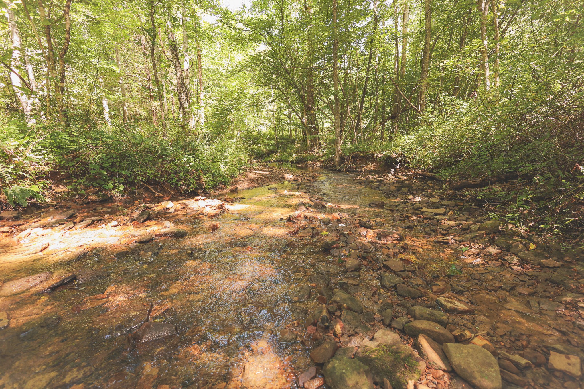 0 Grapevine Road Crossville, TN 38572 - Photo 56 of 57 Gallery Image 56