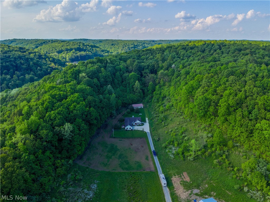 View of bird's eye view