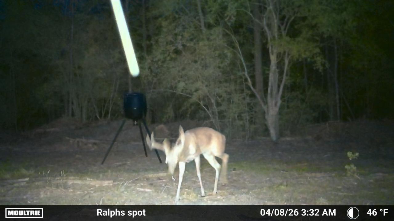 0 Laird Road Crestview, FL 32539 - Photo 52 of 59 Temp_2924778-20260408083243-100MFCAM_MFD