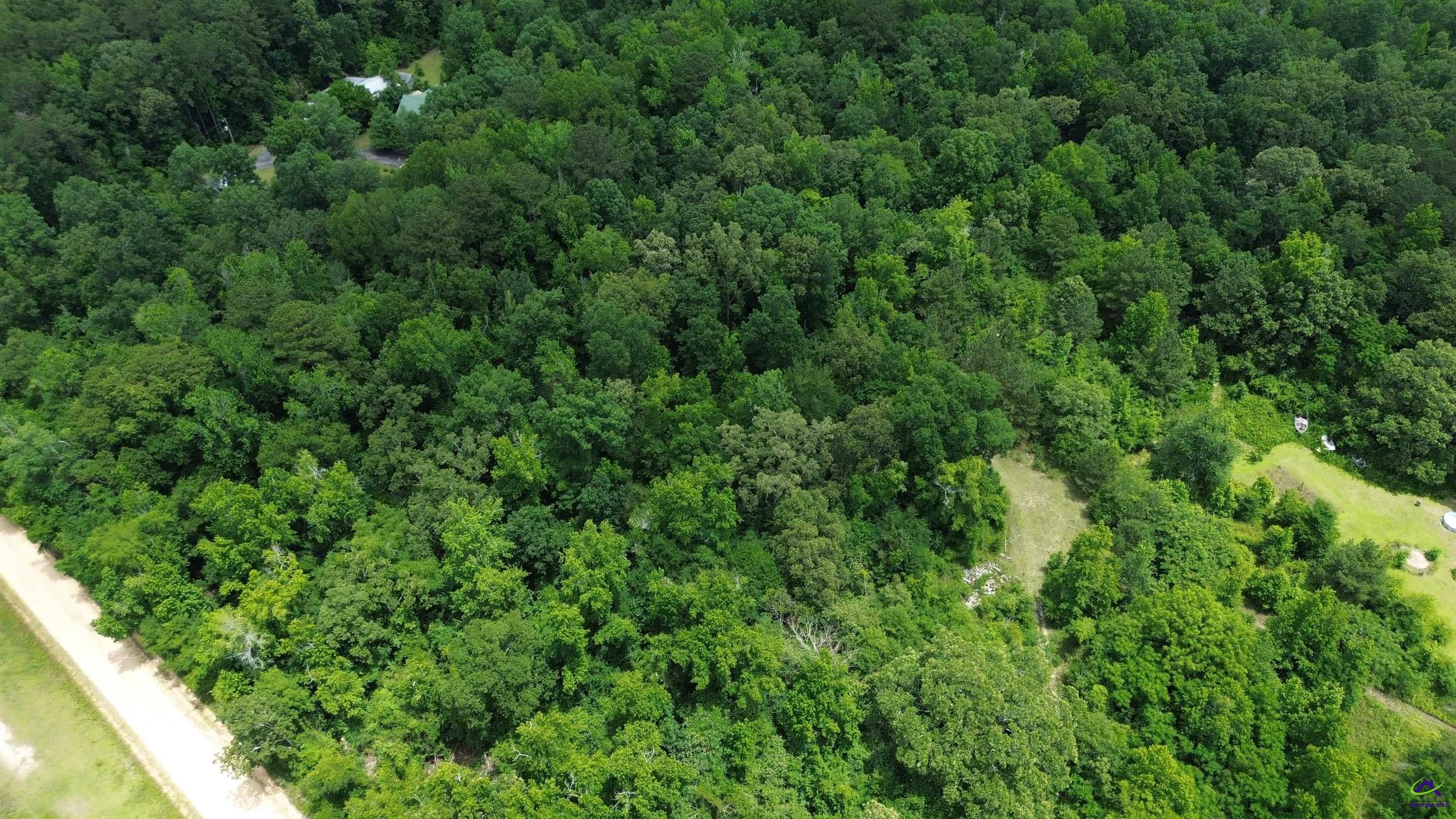 Churchwell Road Cochran, GA 31014 - Photo 8 of 12