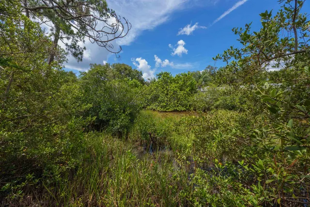 a view of a plant in a garden