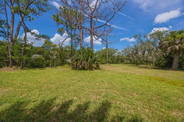 a view of a yard with plants and trees