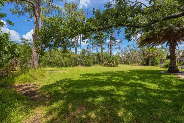 a view of backyard with green space