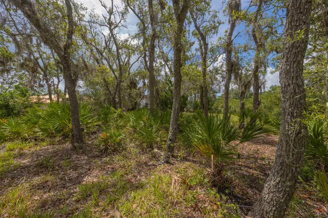 a view of a plant in a garden