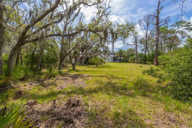 a view of a bunch of trees