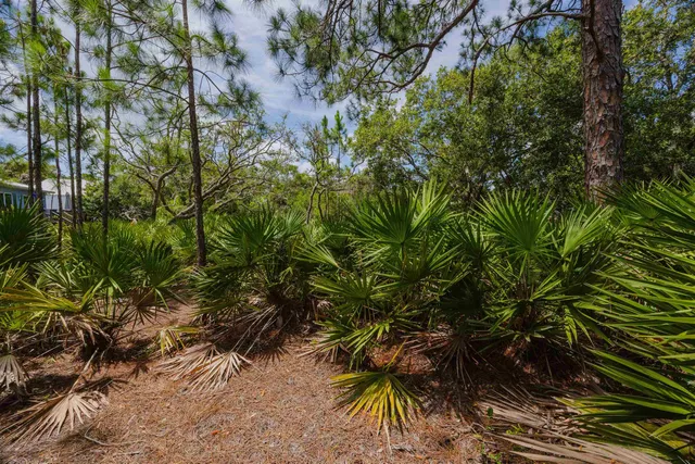 a view of a green field