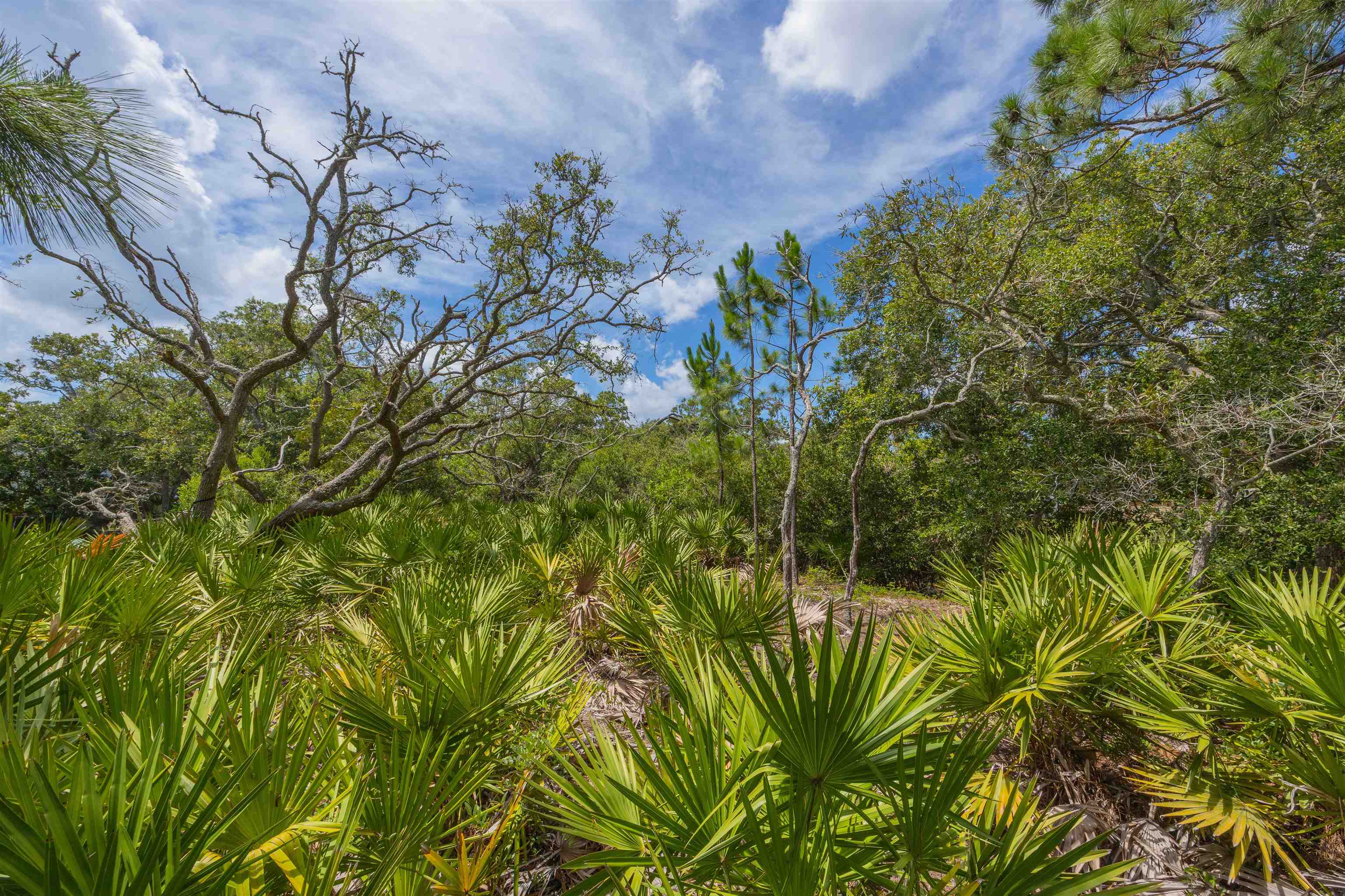 Micklers Rd Street St. Augustine, FL 32080 - Photo 20 of 62