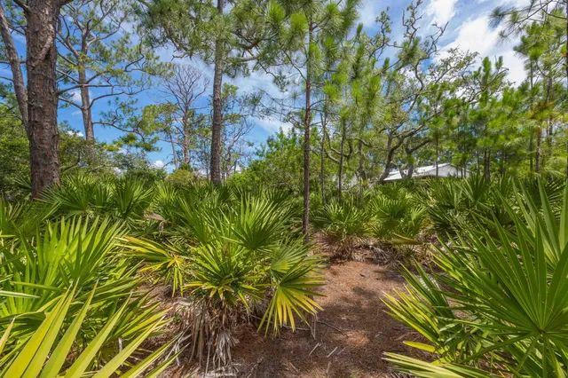 a view of a lake with a yard