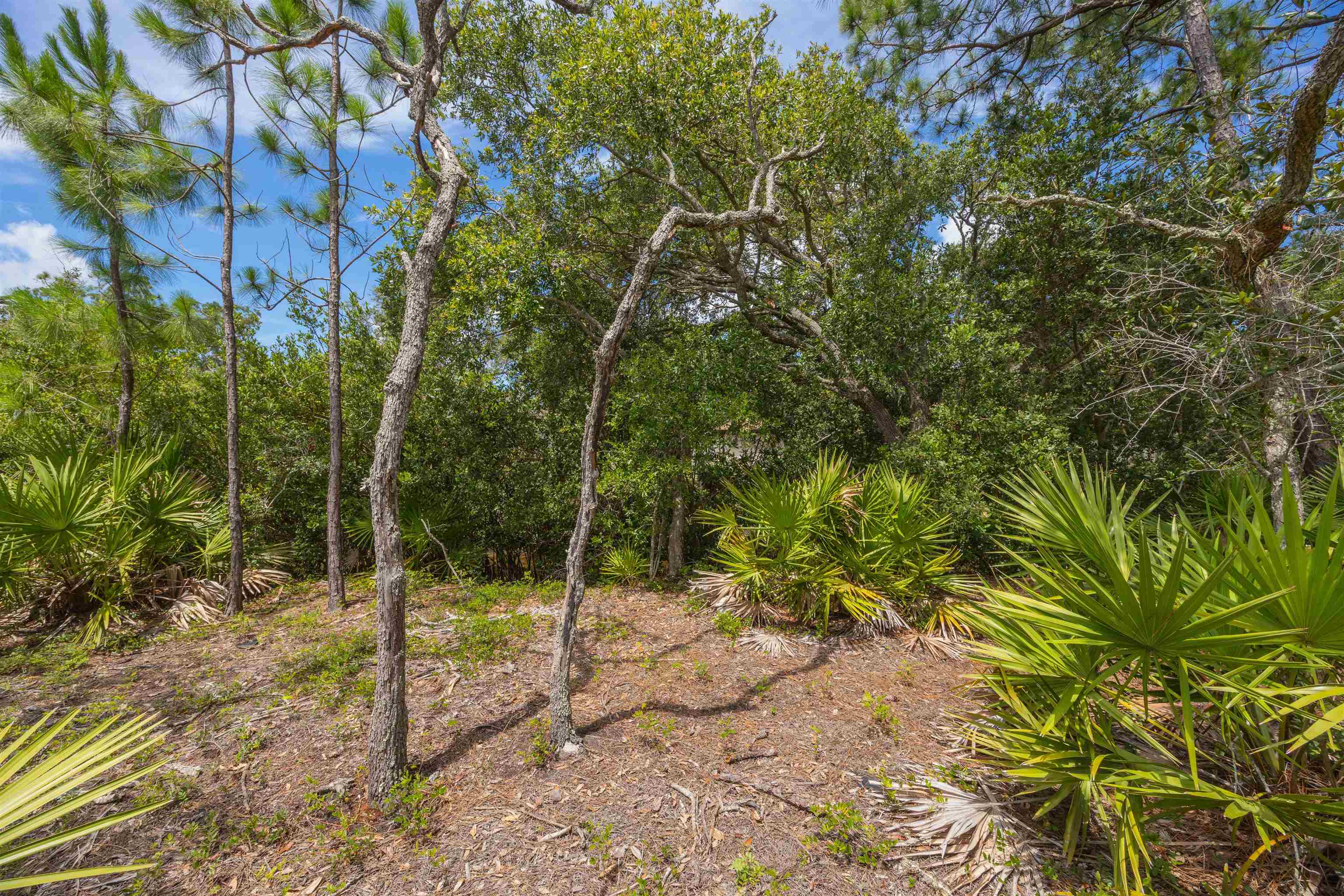 Micklers Rd Street St. Augustine, FL 32080 - Photo 22 of 62