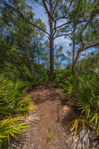 a view of outdoor space with deck and yard