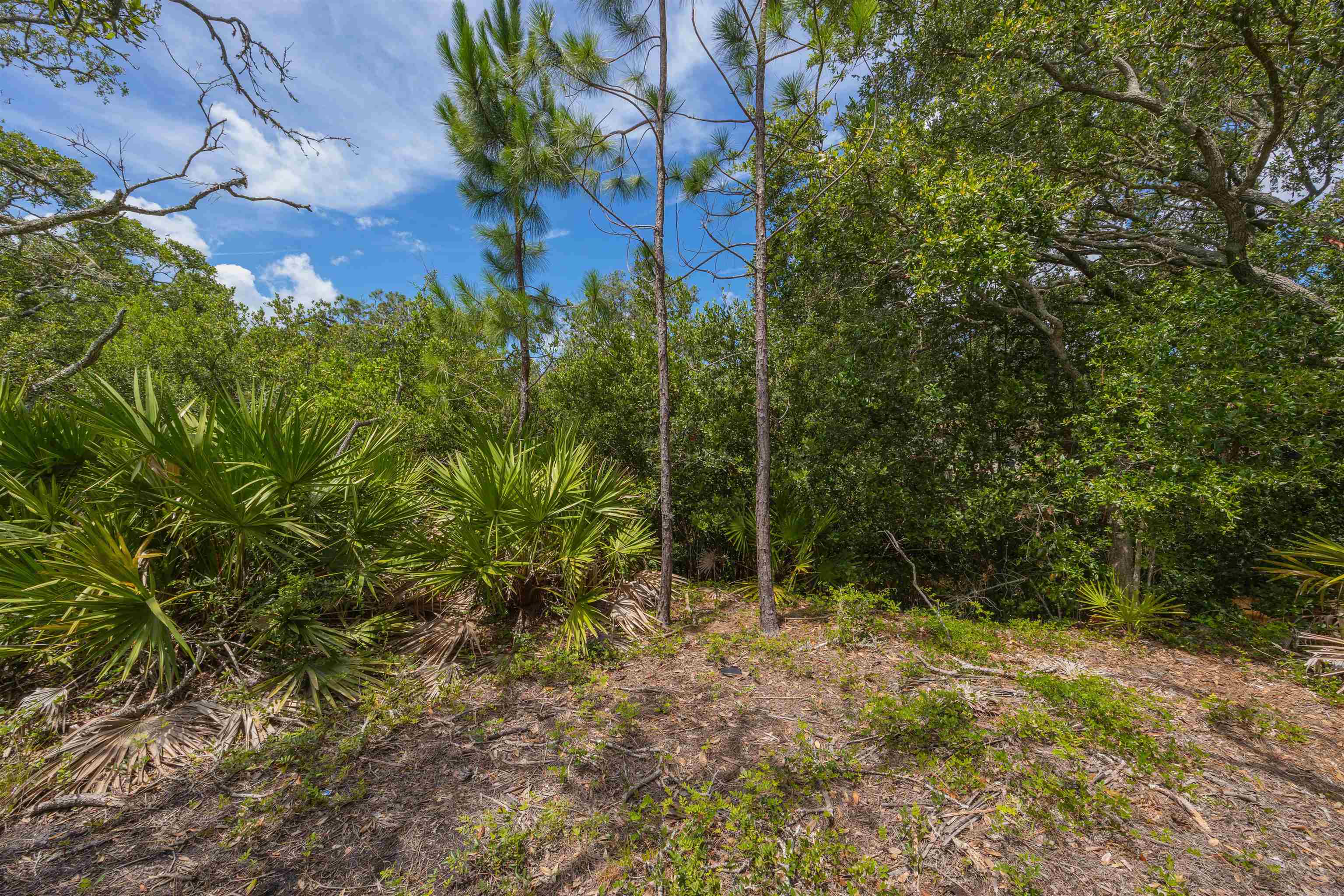 Micklers Rd Street St. Augustine, FL 32080 - Photo 24 of 62 a view of backyard with green space