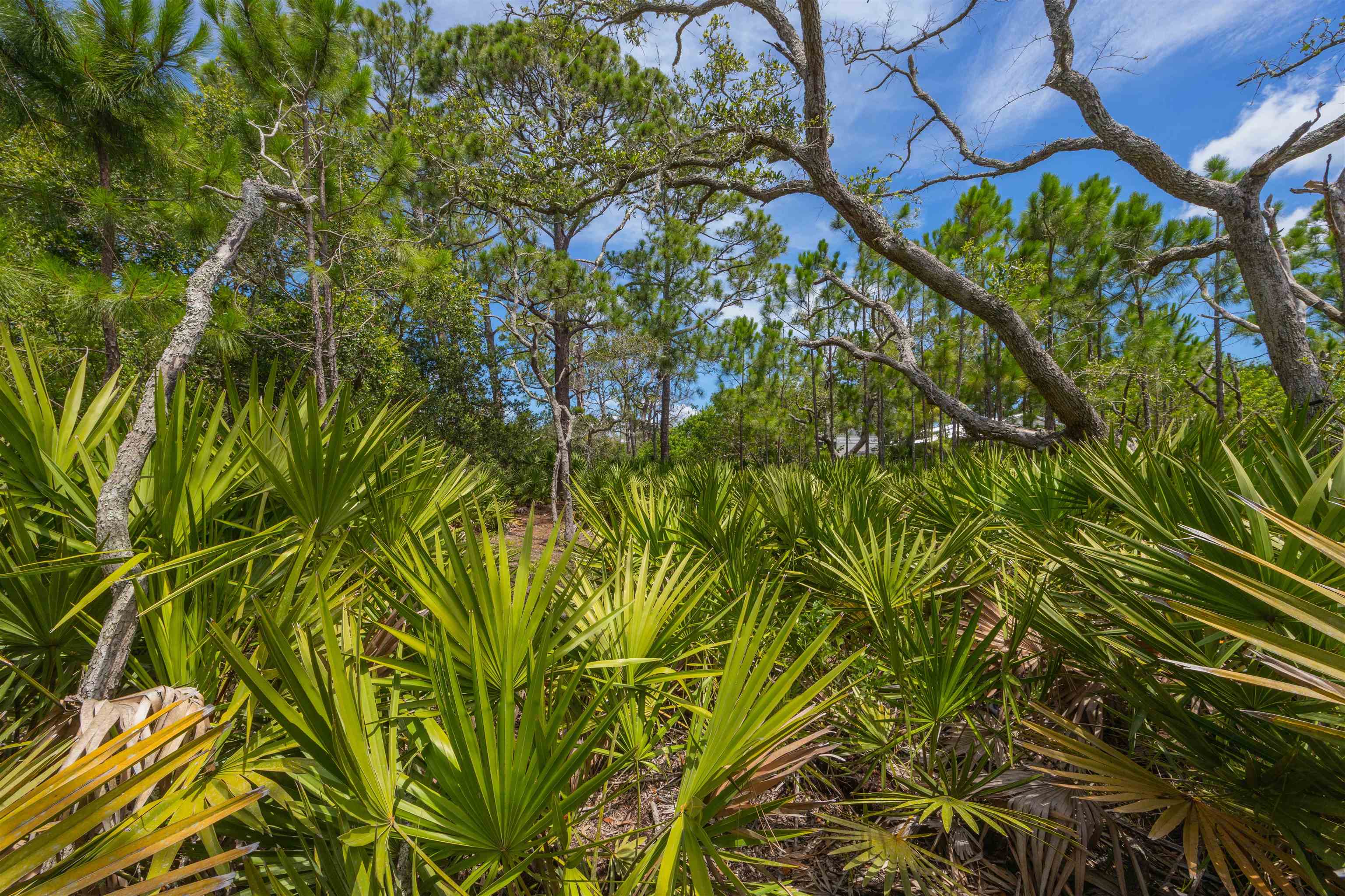 Micklers Rd Street St. Augustine, FL 32080 - Photo 26 of 62