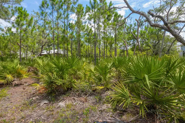 a view of an outdoor space and a yard