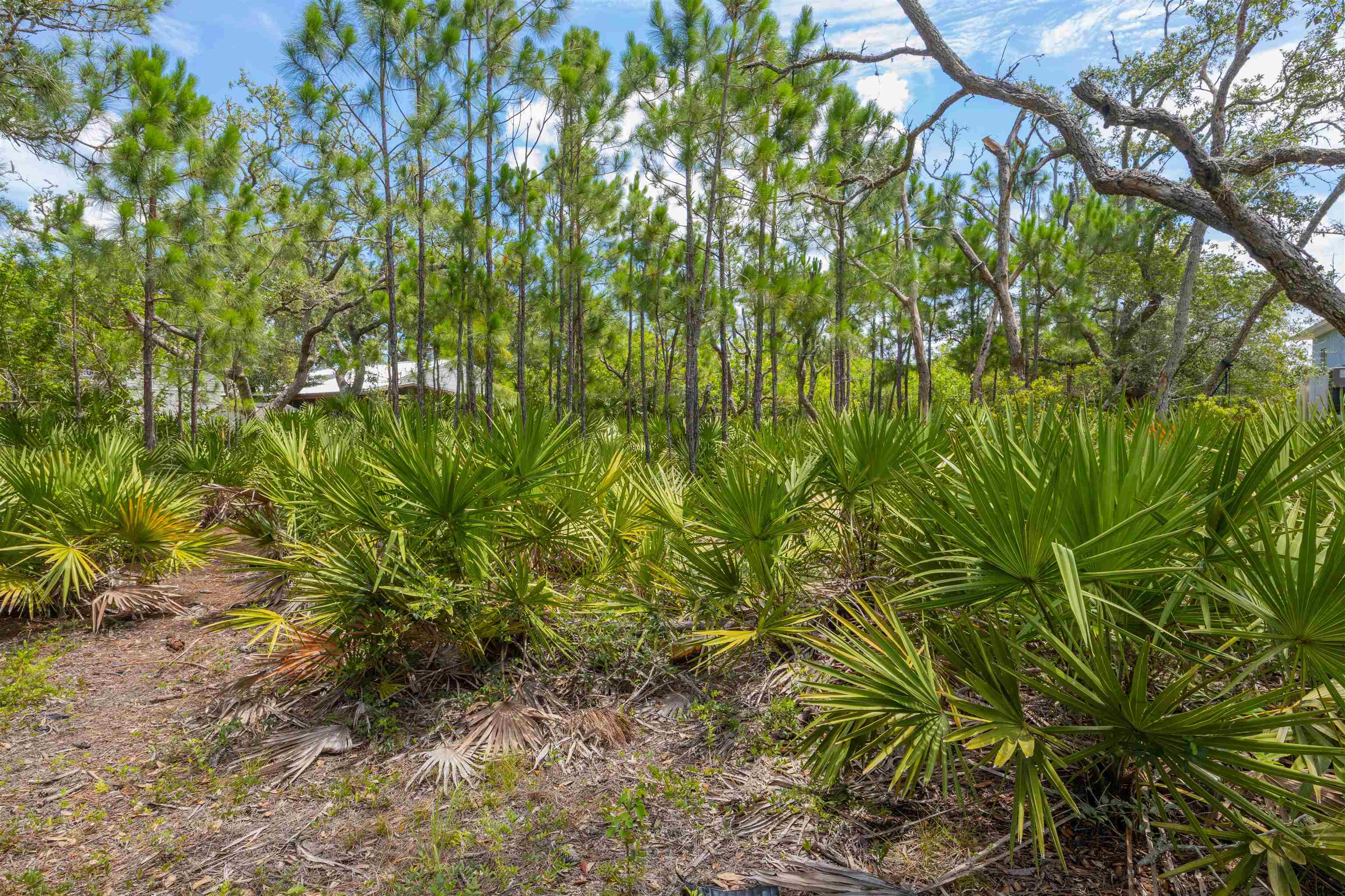 Micklers Rd Street St. Augustine, FL 32080 - Photo 27 of 62